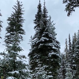 Meet your Posher, Kara